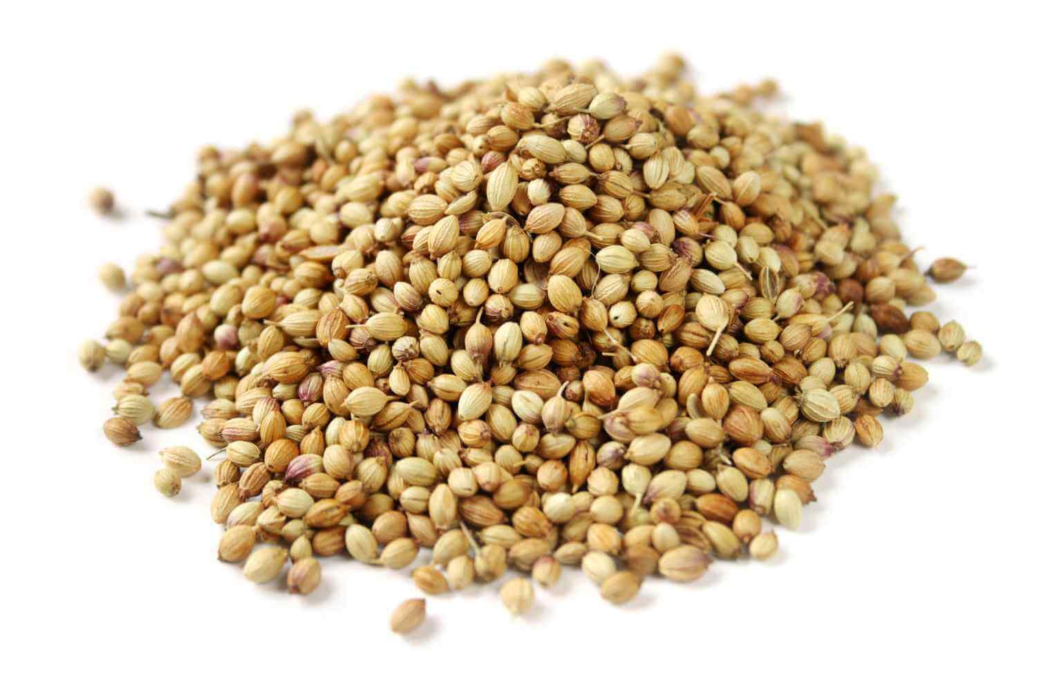 coriander seeds